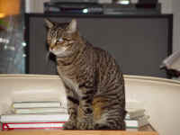 buster_2.jpg (559827 bytes)