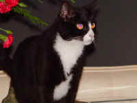 winnie_1.jpg (475406 bytes)