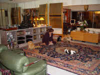 xmas_cats.jpg (619220 bytes)